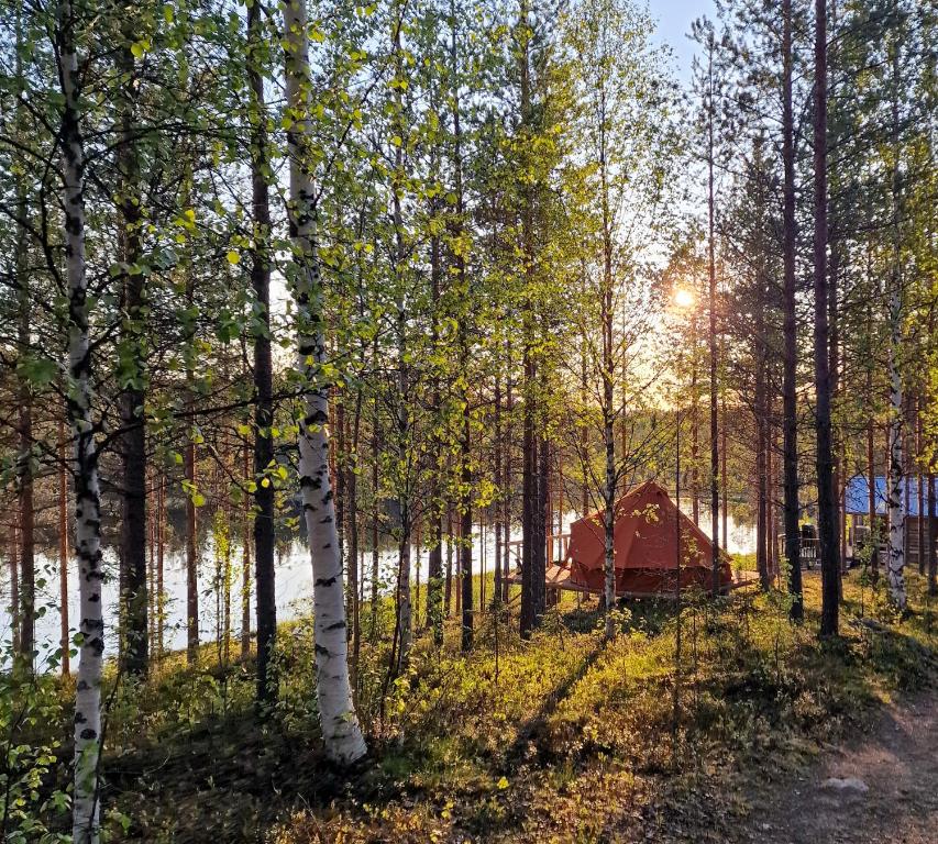 Příroda nedaleko luxury tent