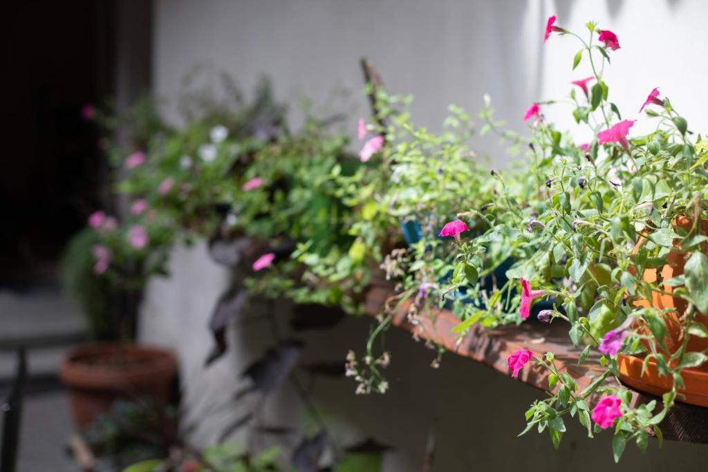 Golebia 8 Residence - Resim 19