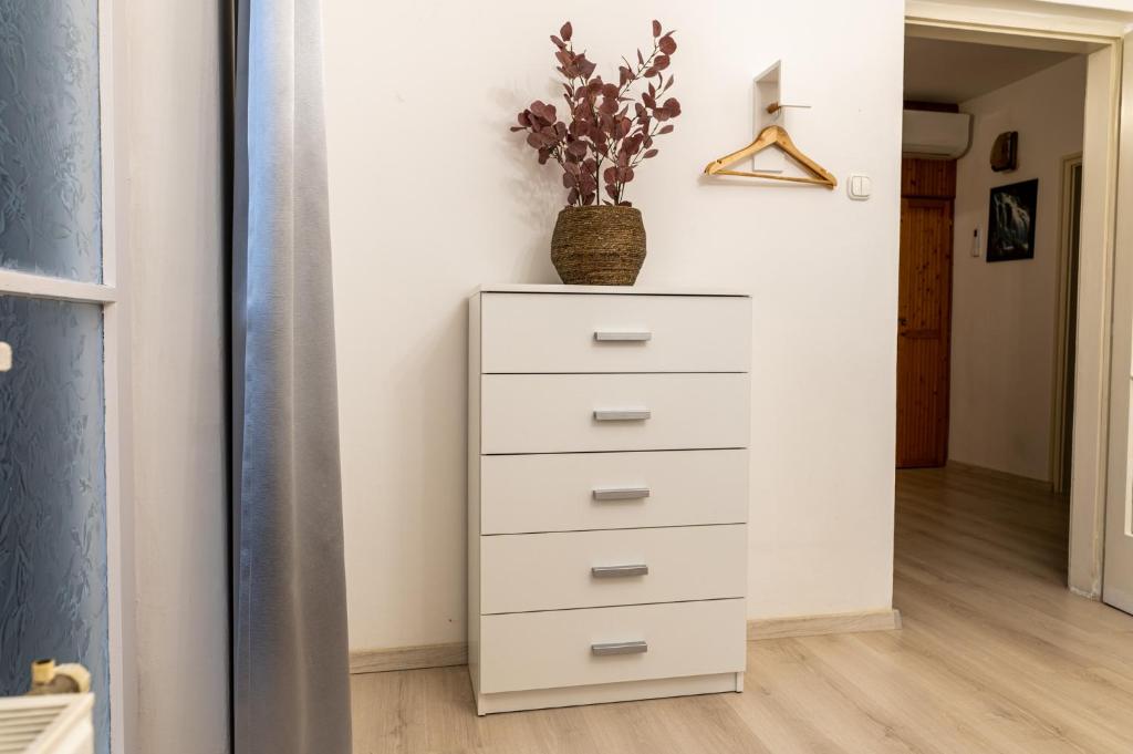 Zdjęcie z galerii obiektu Barát Vendégház - Cosy Guesthouse - Teljes ház privát udvarral - 4 szoba, 2 fürdő w Segedynie