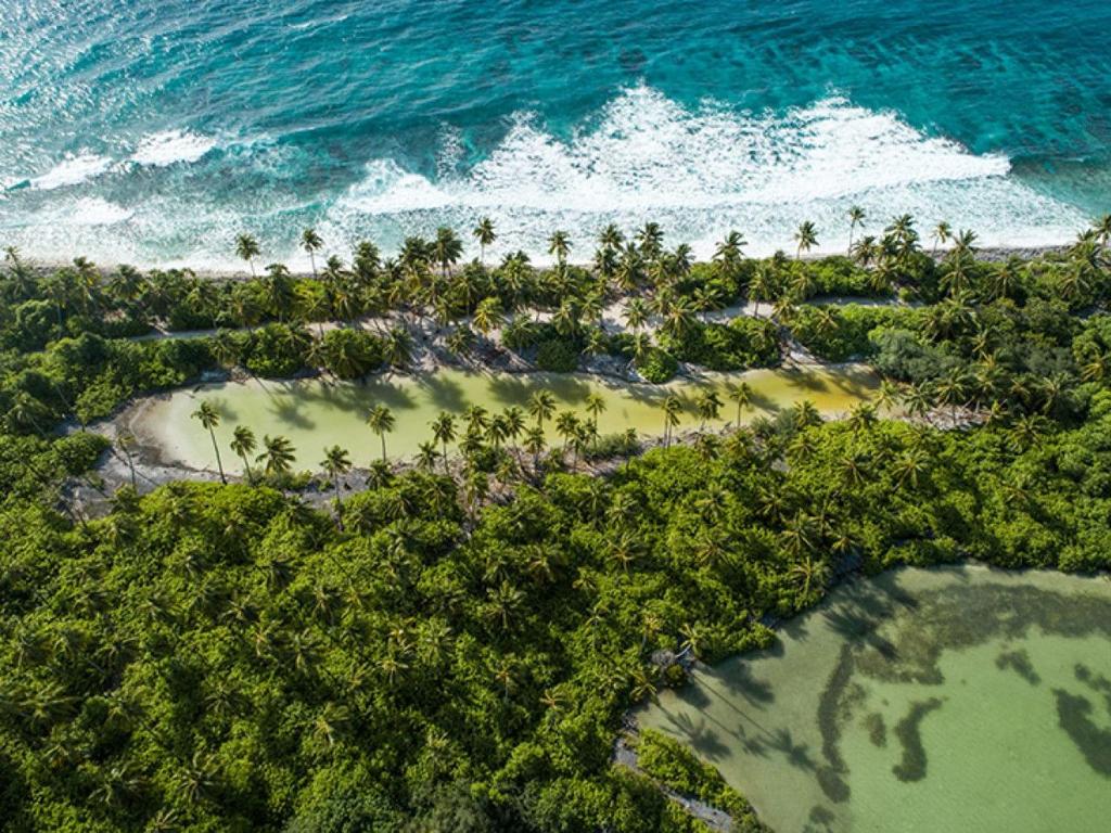 an aerial view of a beach with trees and the ocean at Miyaheli Inn in Hithadhoo