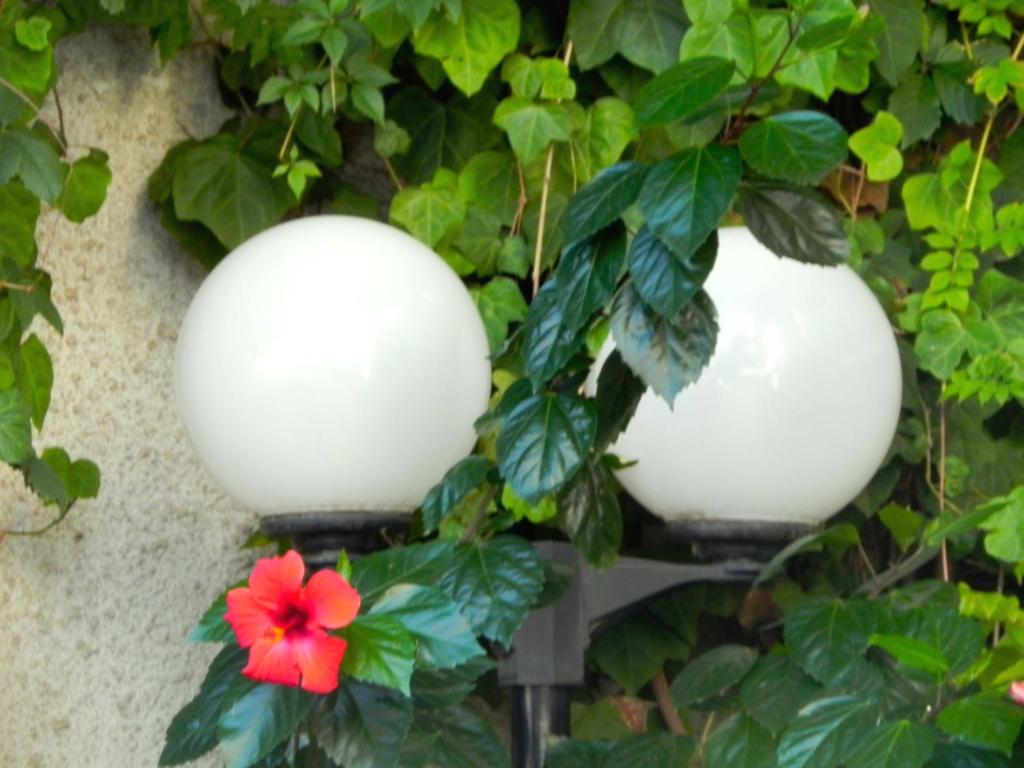 Torreata Hotel & Residence - Resim 26