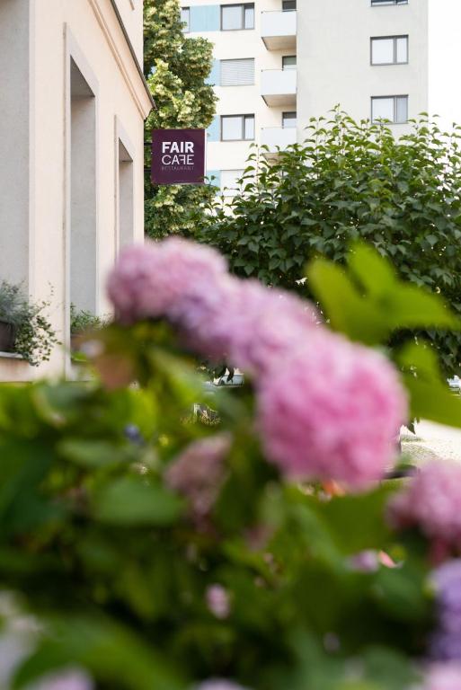 Zahrada ubytování Fairhotel