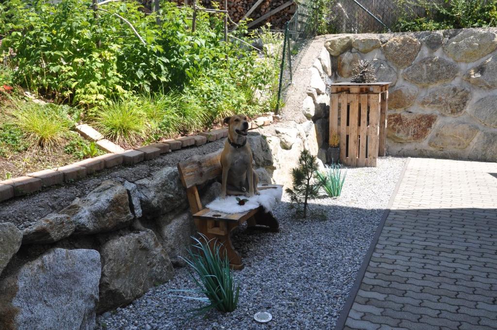 Fotografie z fotogalerie ubytování Ferienwohnung Bärbel v destinaci Sautens