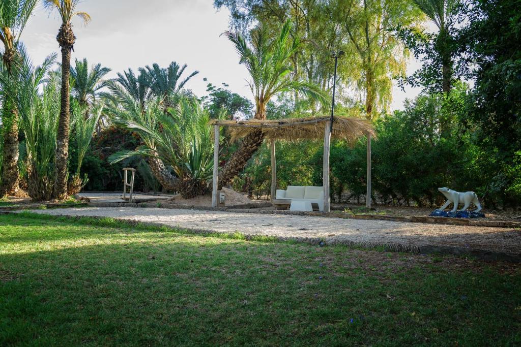 Zahrada ubytování Villa Al Assala Palmeraie