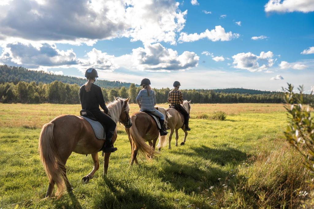 Zvířata v luxury tent nebo okolí