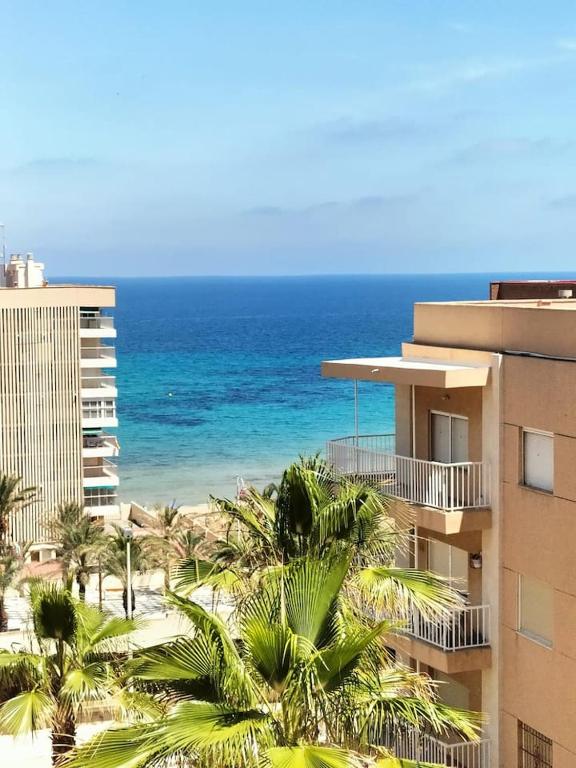 a view of the beach and the ocean from a building at Dune Beach in Arenales del Sol