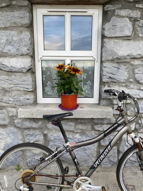 Kolesarjenje v okolici nastanitve Oranuisce Thatch Cottage Ballyvaughan
