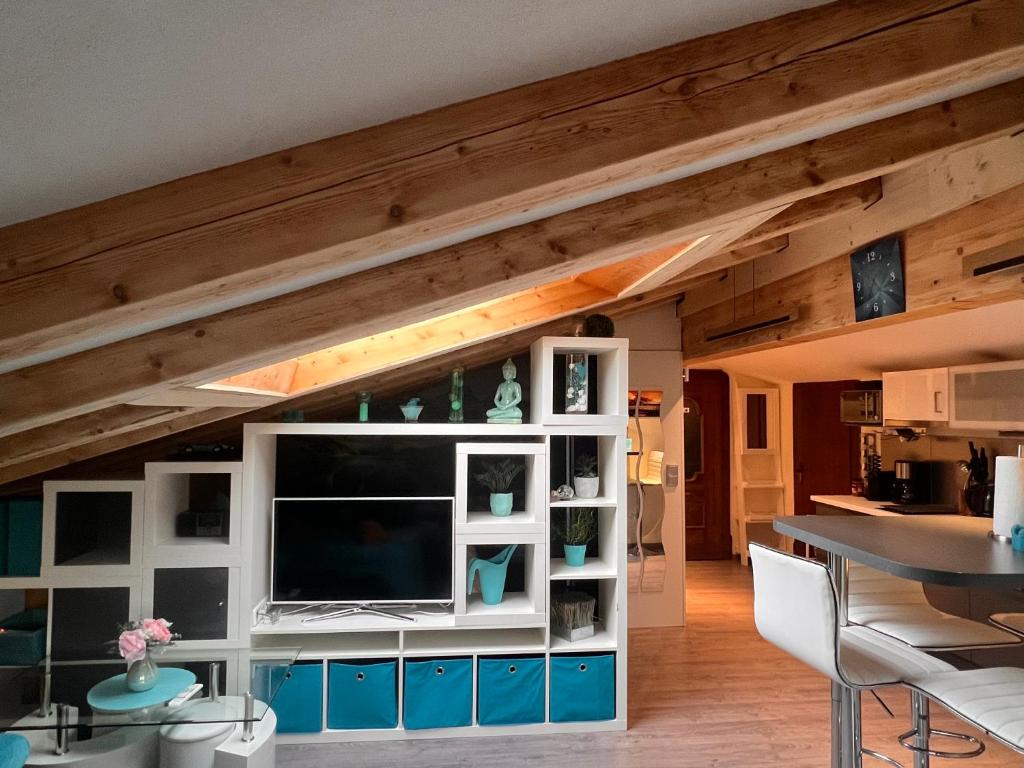 TV a/nebo společenská místnost v ubytování Apartment Villa Sonnegg