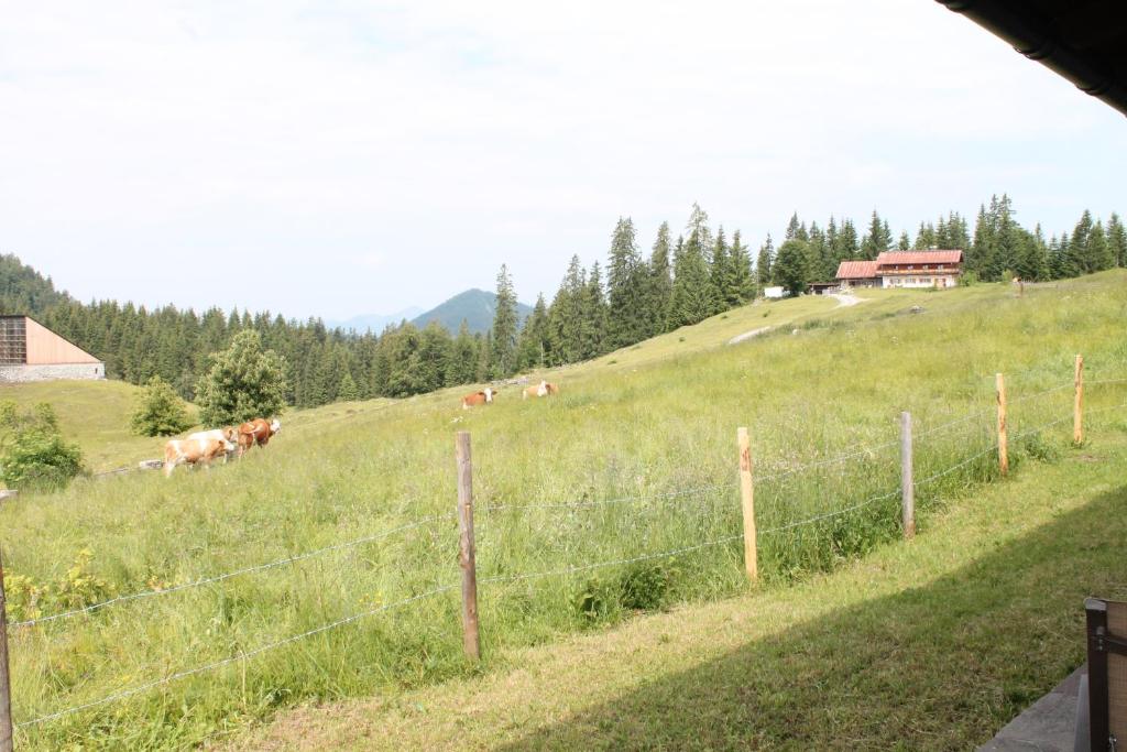 Příroda nedaleko hotelu