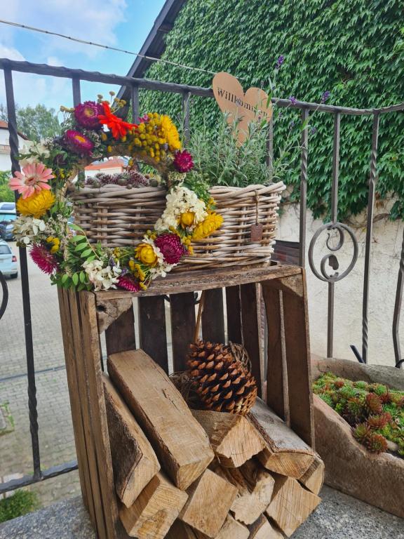 Zahrada ubytování Pension Im Wiesengrund Steinau Marborn