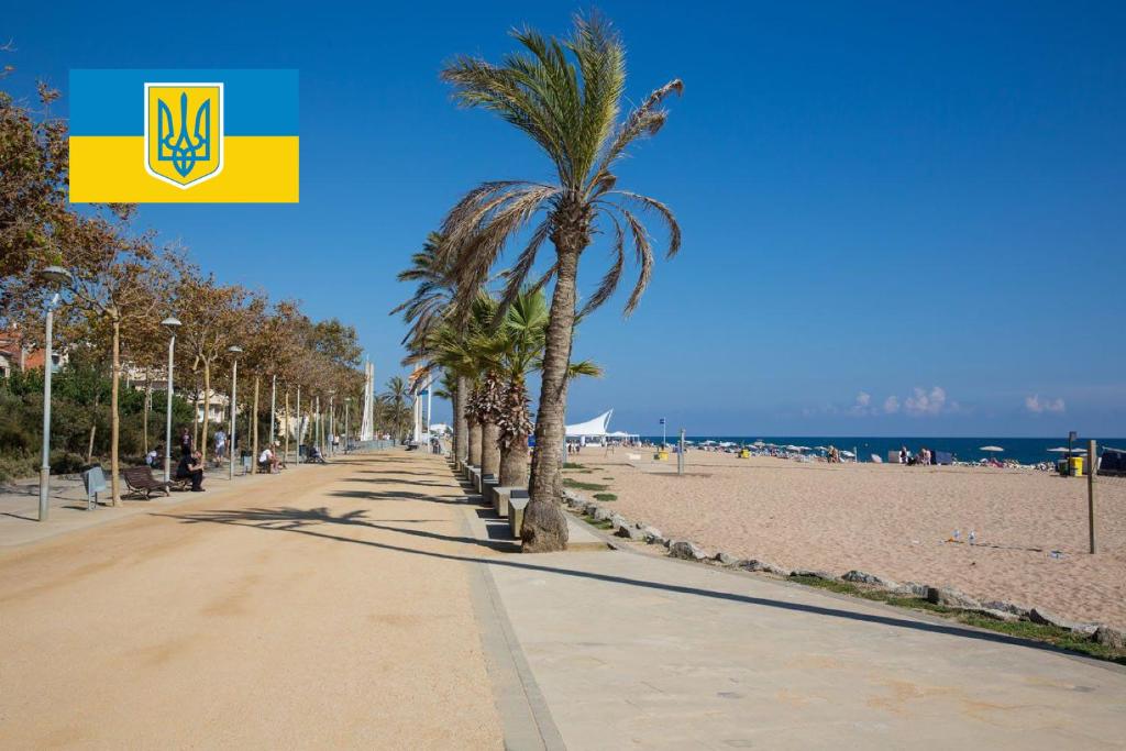 een strand met palmbomen op een zonnige dag bij COLIBRI in Calella