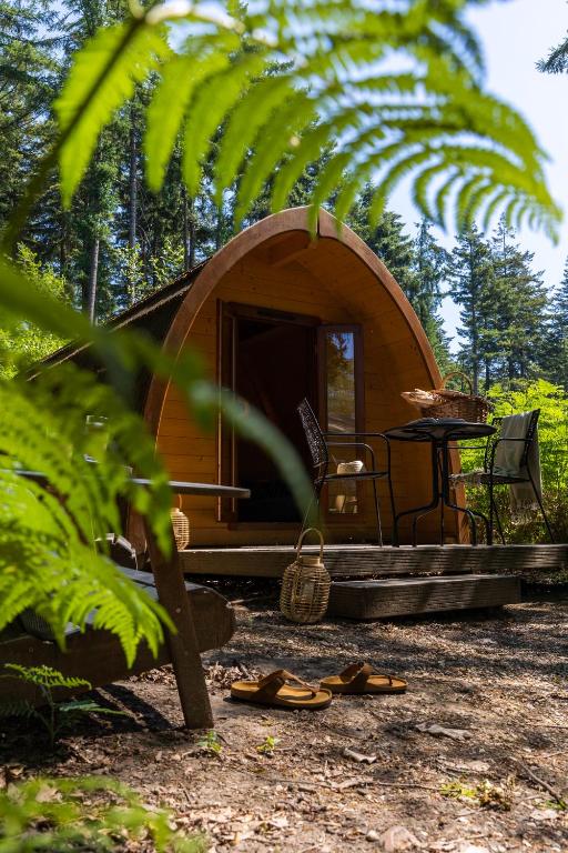 Zahrada ubytování Buitenplaats Beekhuizen