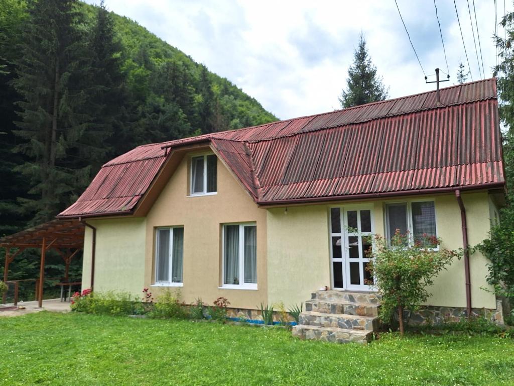 a house with a rusty roof on a grass field at Casa Delia in Balta