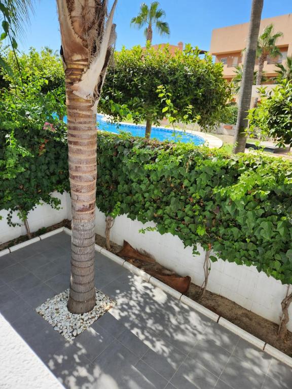 Bazén v ubytovaní ¡Bajo extraordinario con vistas a la piscina y terraza! alebo v jeho blízkosti