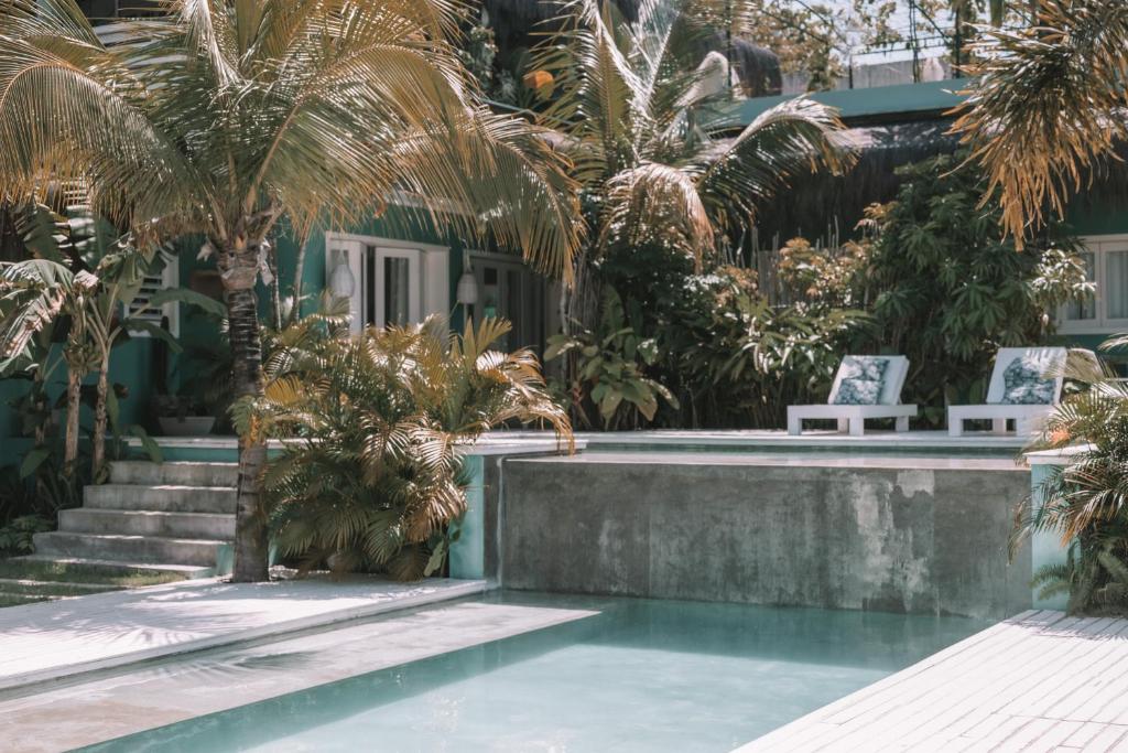 dom z basenem z palmami w obiekcie Cactus Lodge Pipa w mieście Pipa