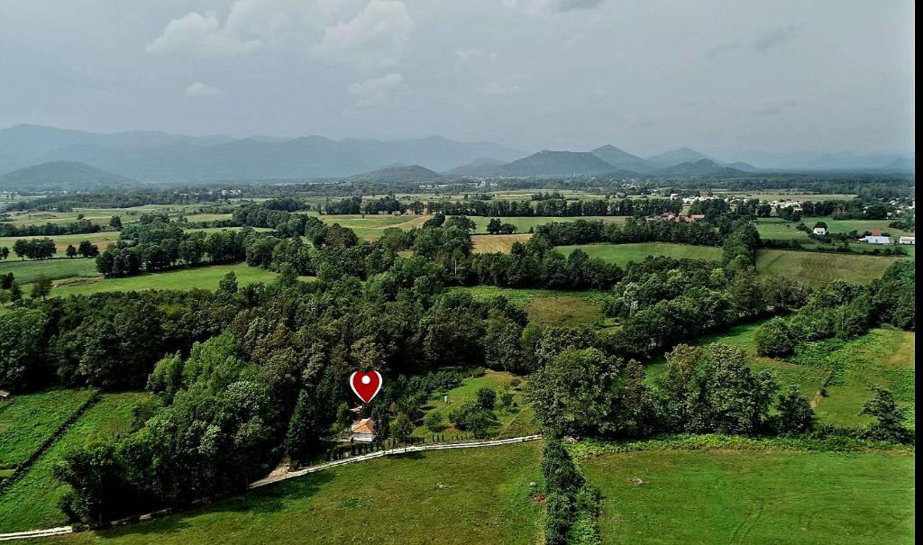 a red heart balloon flying over a green field at Kuća za odmor Čanić gaj in Gospić