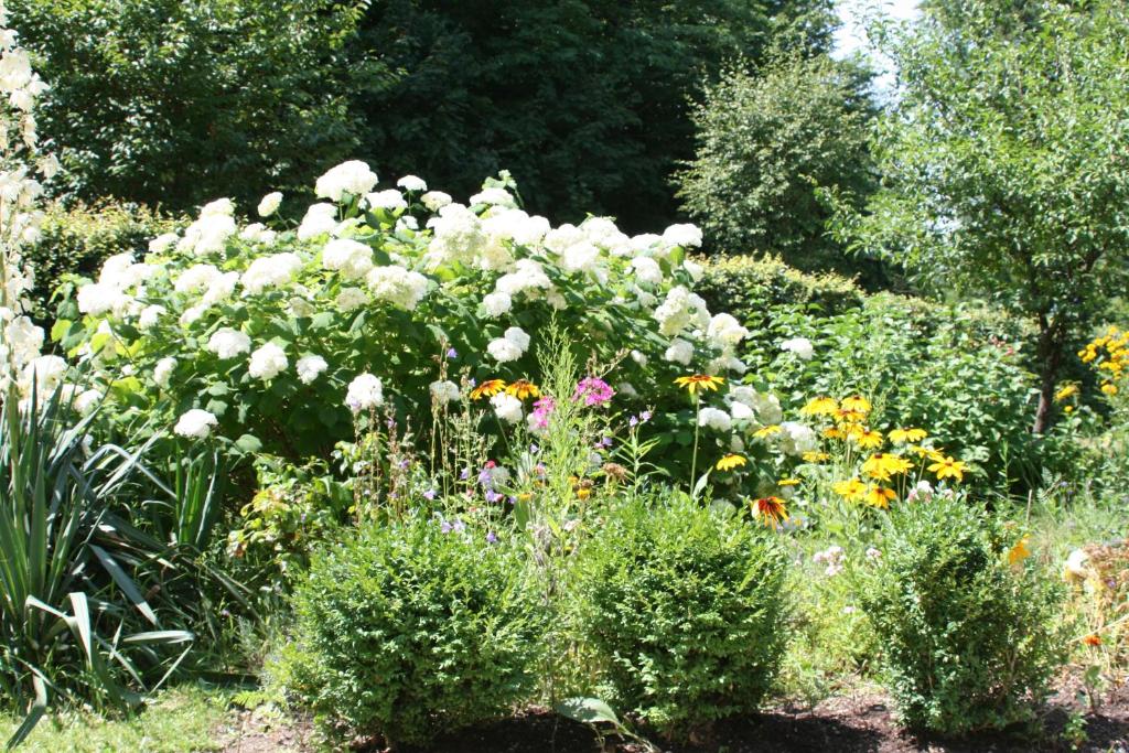 Jardín al aire libre en Seeappartements Excelsior