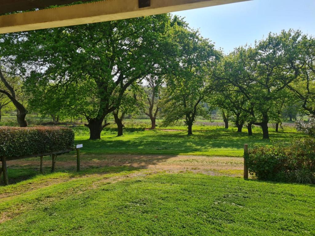 a park with benches and trees in the grass at Oak Lane Cottages in Elgin