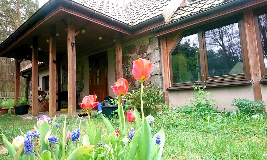 uma casa com flores no quintal da frente em Stone cottage 
