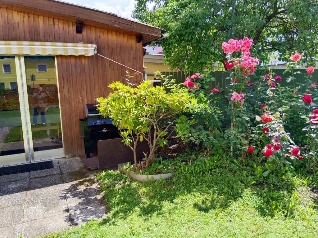 Zahrada ubytování Ring Gästehaus