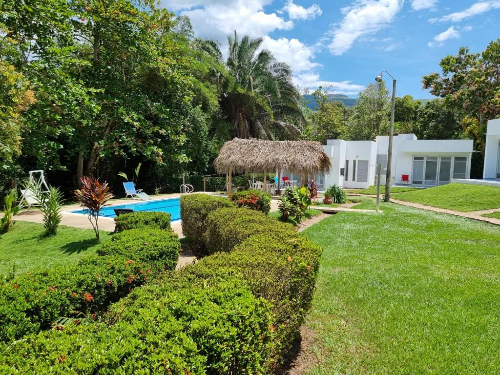 a yard with hedges and a swimming pool at Finca Summerland ecohotel in Melgar