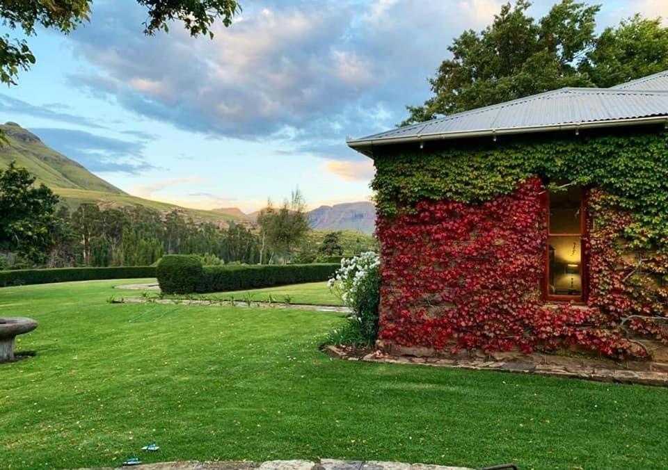 ein Haus mit rotem Efeu und einem grünen Hof in der Unterkunft Glengyle Guest Farm in Barkly East