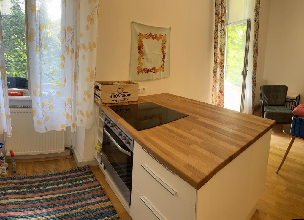 a kitchen with a counter with a box on it at Urban Apartment for Erasmus Student, Zentrum in Graz
