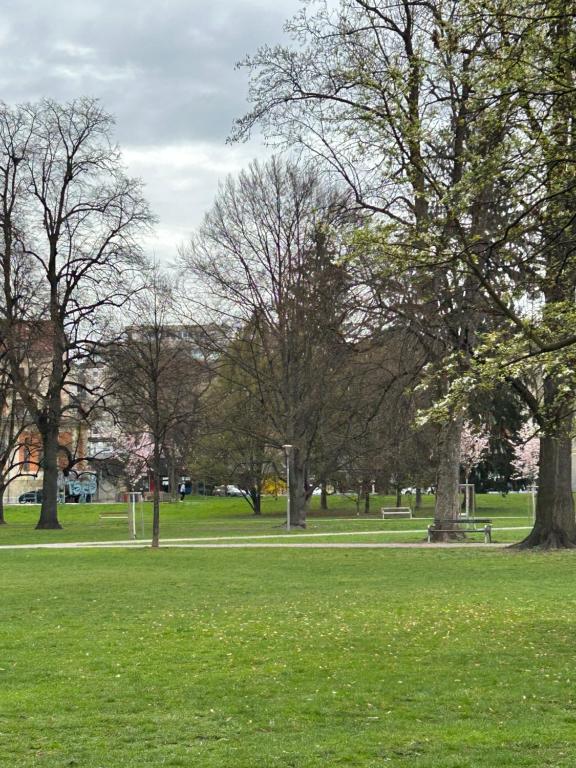a park with trees and green grass and a path at Urban Apartment for Erasmus Student, Zentrum in Graz