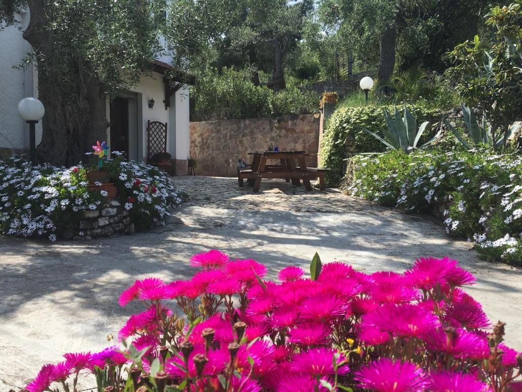 Zahrada ubytování Azienda Agricola B&B Macchiaria