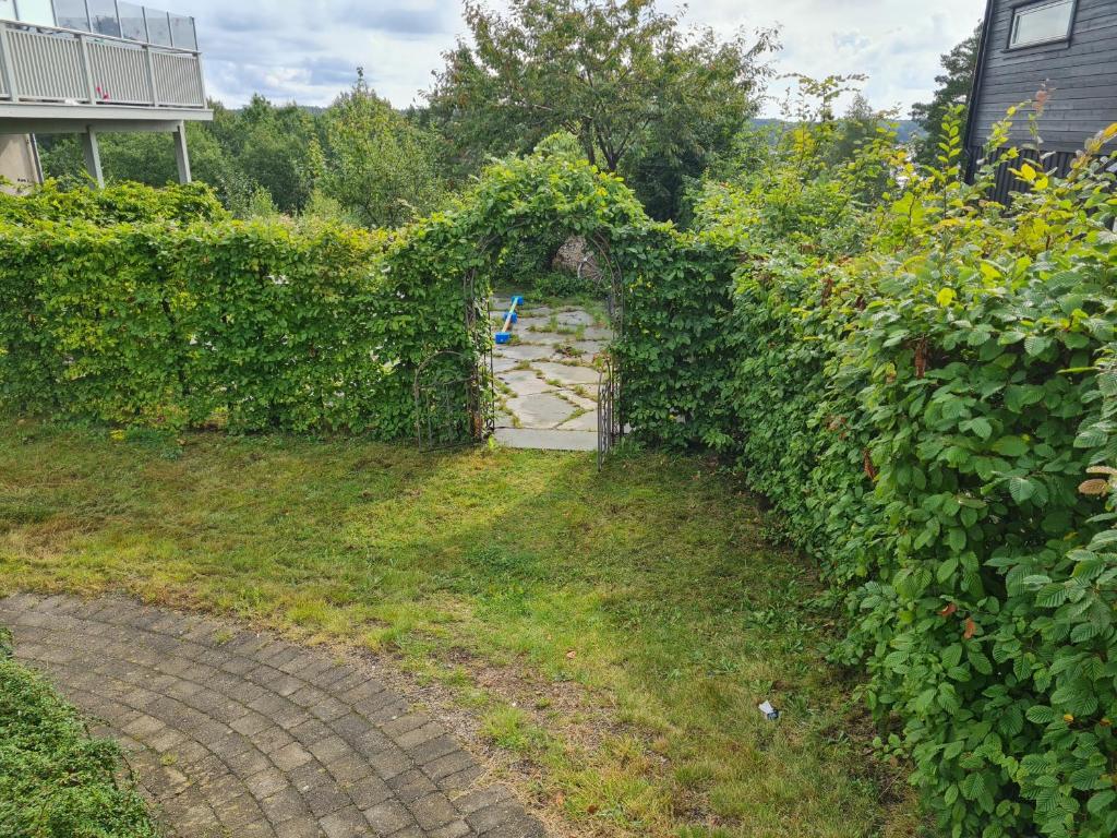 Zahrada ubytování Kaldvell Apartman