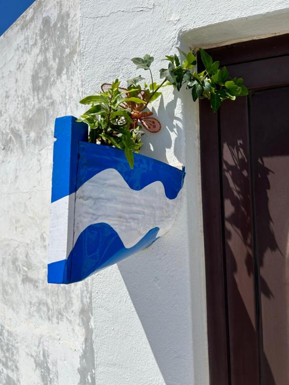 Fotografie z fotogalerie ubytování La Buganvilla rooms v destinaci Arrecife