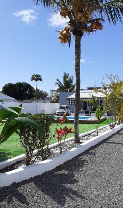 une rue avec un palmier et une maison dans l'établissement Villa Bella Quatre Cocos, à Trou dʼ Eau Douce