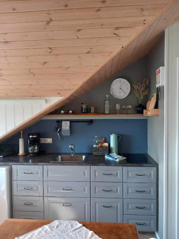 Kuchyň nebo kuchyňský kout v ubytování Frostastaðir Guesthouse