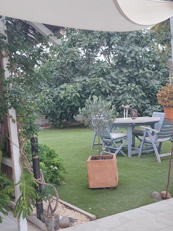 Vonkajšia záhrada v ubytovaní Casa Oliva 52