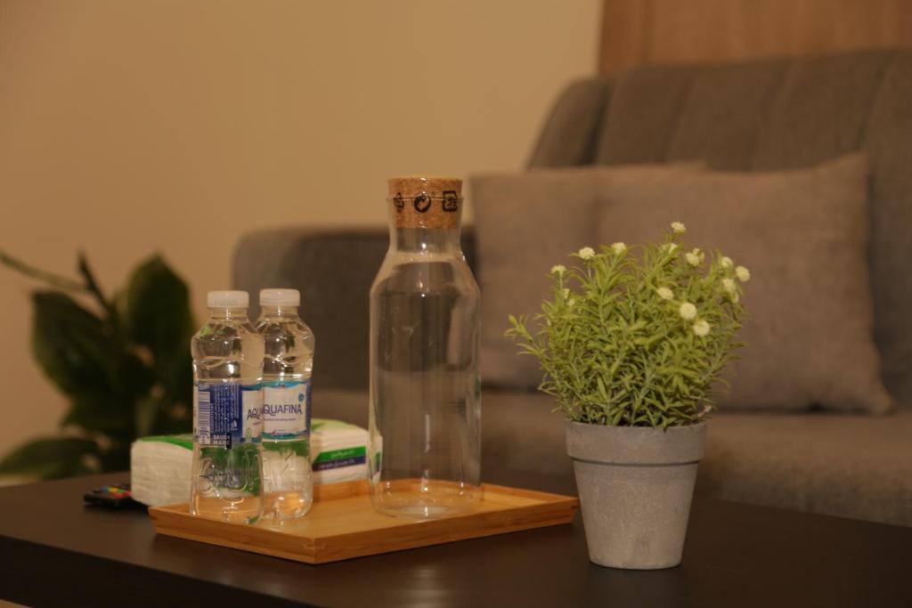 a table with two bottles of alcohol and a potted plant at Spacious Apartments at Basla St 3 mins from King Fahd Stadium in Riyadh