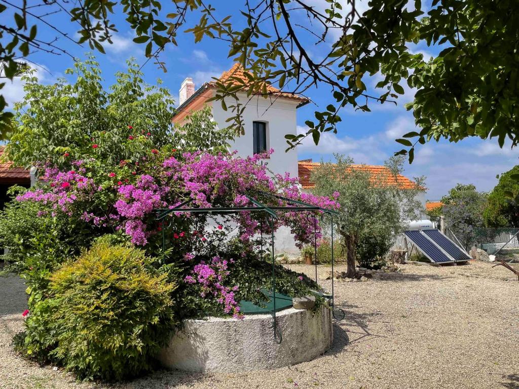 Casa Luis Pato, Óis do Bairro (updated prices 2024)