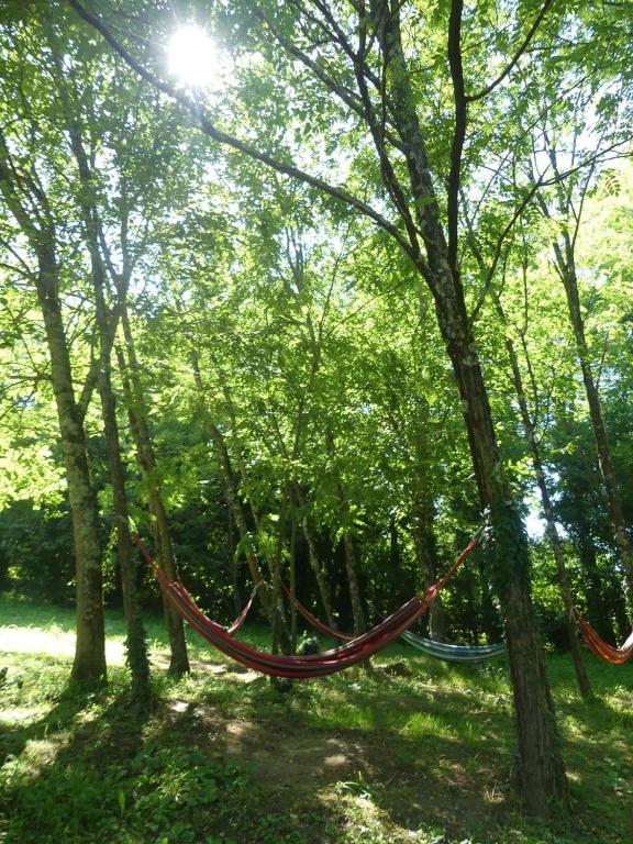 Příroda nedaleko penzionu – hostince