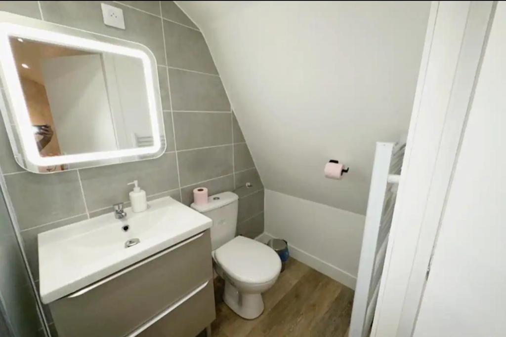 Koupelna v ubytov&aacute;n&iacute; LeRelaisdOdile CAMBRAI - HYPER CENTRE - Free Wifi