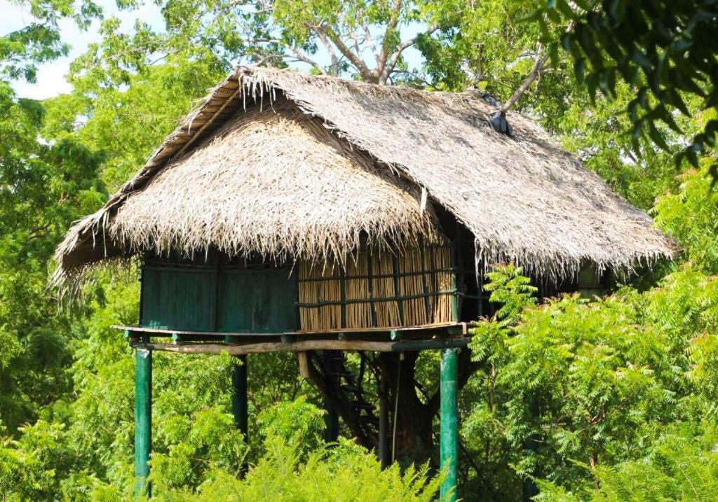 una piccola capanna con tetto di paglia di Yala Beddegama Eco a Kataragama