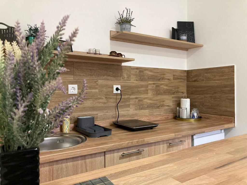 a kitchen with a sink and a laptop on a counter at Aurora Apartment in Kikinda