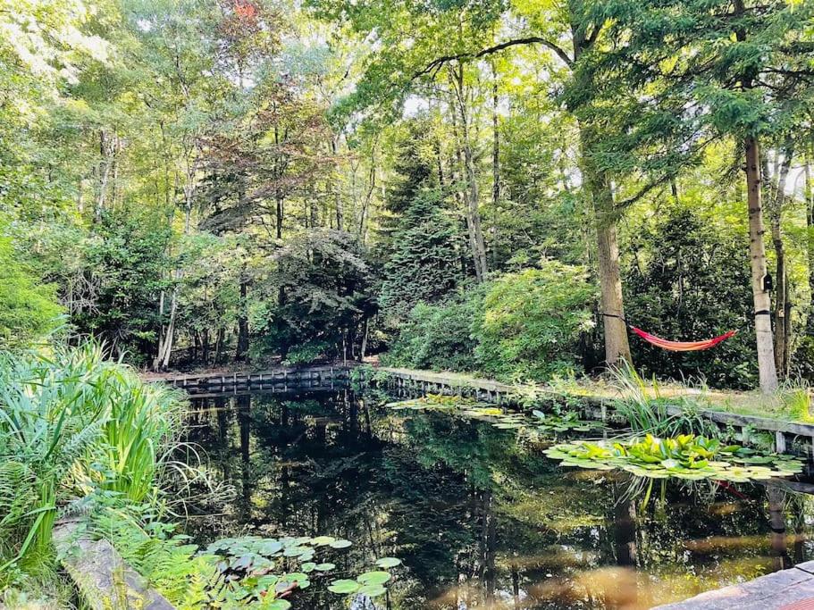 een schilderij van een vijver met een hangmat in een park bij Prachtige chalet in het bos met sauna! in Lanaken