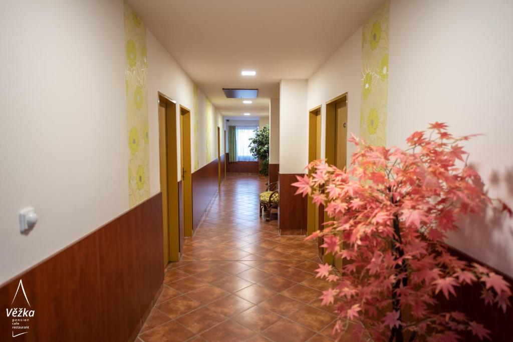 Fotografie z fotogalerie ubytování Pension Věžka ve Šternberku