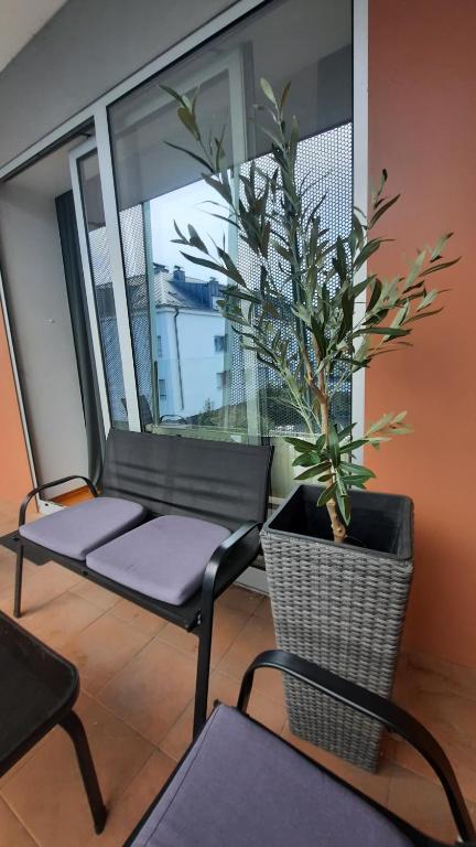 Posezení v ubytování Apartman Tena