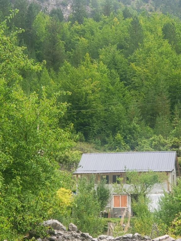 Guest house Artani