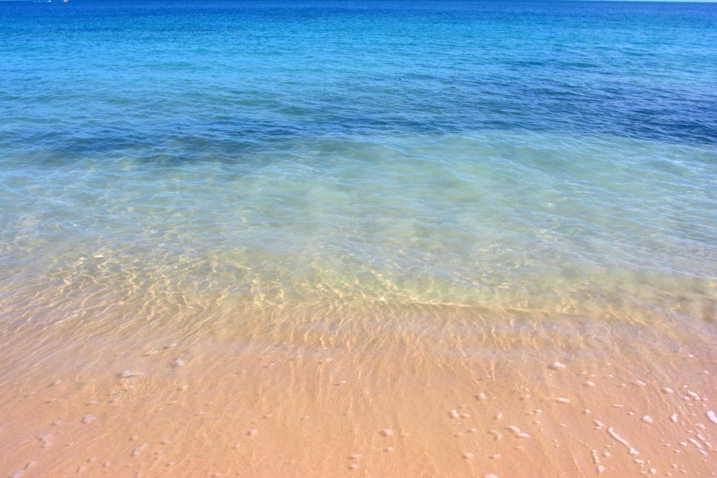 vista sulla spiaggia e sull'acqua di Bungalow La Papaye Bleue Résidence accès Piscine & Plage a Saint-François