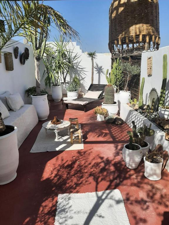 STUDIO LOFT MEDINA AVEC TERRASSE — photo 2