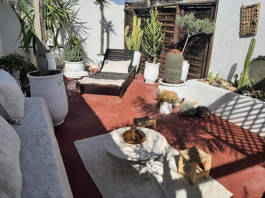 a patio with a couch and a chair and cactus at STUDIO LOFT MEDINA AVEC TERRASSE in Marrakech