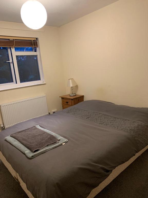 um quarto com uma cama, um candeeiro e uma janela em Single room Eastbourne free WiFi em Polegate