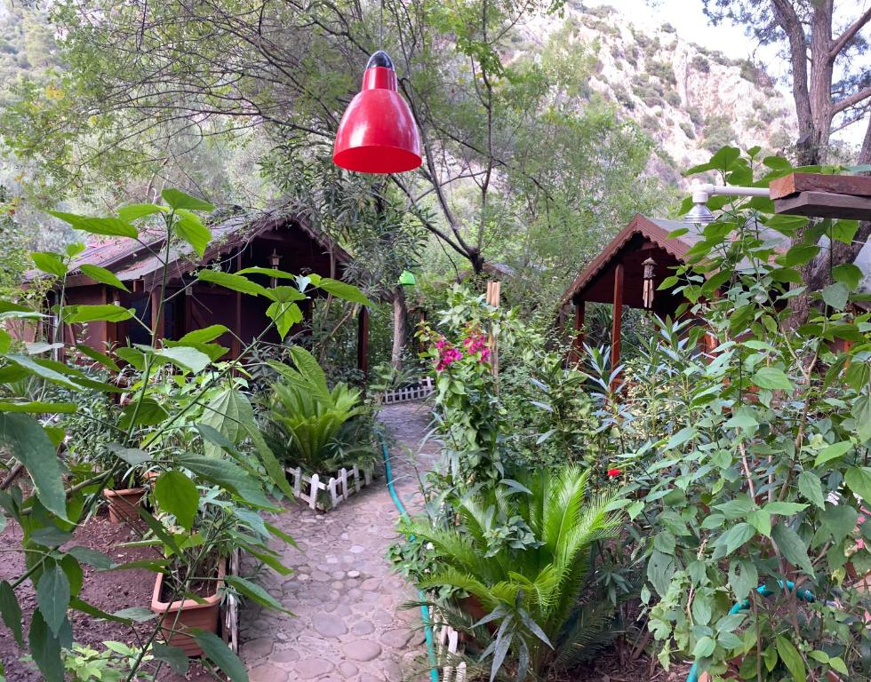 a red light hanging over a garden with plants at Canario Bungalows in Cıralı