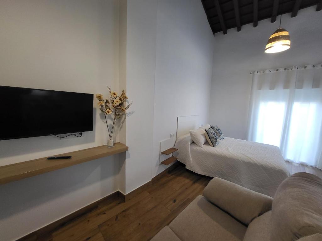 sala de estar con TV y sofá en Apartamento La Albariza, en Jerez de la Frontera